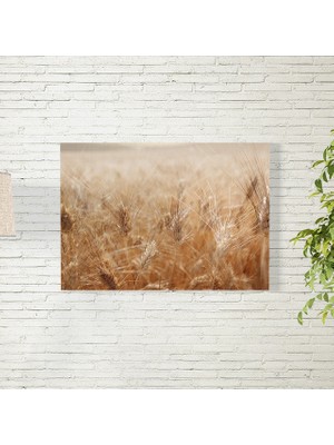 Reysa Tasarım Buğday Tarlası Posteri 35X50 cm