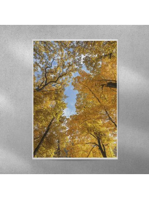 Reysa Tasarım Ağaçlar Posteri 35X50 cm