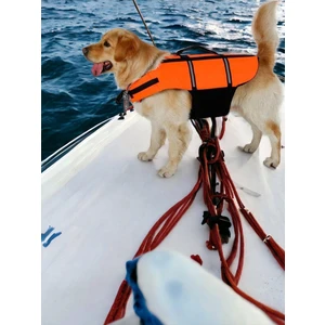 Köpek Can Yeleği, Köpekler Için Reflektörlü Yüzme Yardımcısı