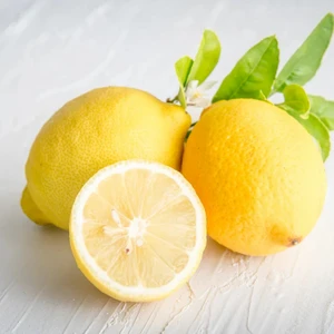 Fidan Paketim Beyaz Limon Ağacı