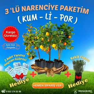 Fidan Paketim 3'lü Narenciye Paketim ( Kum - Li - Por )
