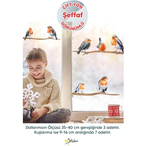 Yılbaşı Kış Kuşları ve Dallar Cam Duvar Sticker Seti  - Yılbaşı Seti Şeffaf