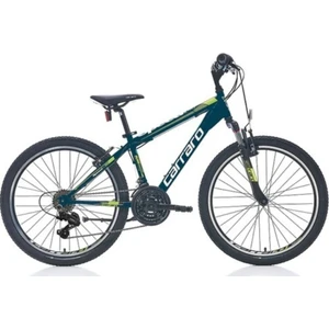 Speed 260 26 Jant 41 Kadro Shimano 21 Vites Deniz Yeşili Lime