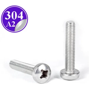 Psa Teknik M1.6x3 Ysb Minik Mikro Vida A2 Inox (10 Adet)