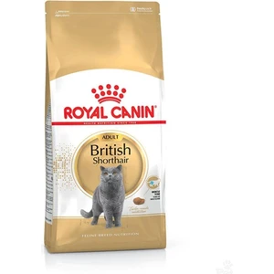 Royal Canin British Shorthair Kedi Maması 10 kg