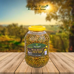 Veli Fidan Hahalı Zeytin