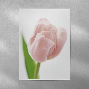 Reysa Tasarım Lale Posteri 35X50 cm