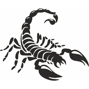 Reysa Tasarım Akrep Sticker Siyah 15X15 cm