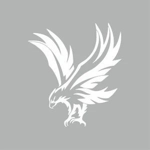 Reysa Tasarım Kartal Araba Sticker Beyaz 19X21 cm