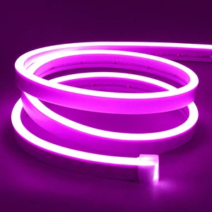 Ema Dükkan 12V Neon LED Trafolu Esnek Neon LED Aydınlatma Trafolu Tak-Çalıştır Neon Şerit LED
