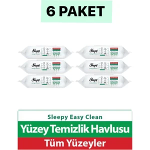 Easy Clean Yüzey Temizlik Havlusu 100'LÜ 6 Paket
