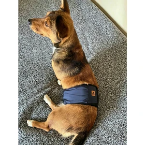 Utd Pet Erkek Köpek Ciş Bel Bandı Külot Pedli Yıkanabilir