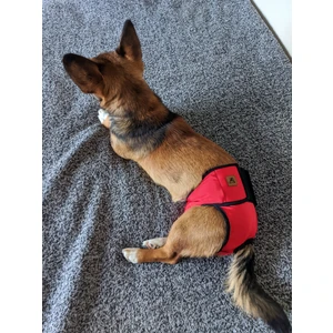 Utd Pet Dişi Köpek Regl ve Çiş Külodu Pedli Yıkanabilir