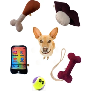 Utd Pet 5'li Köpek Oyuncak Seti ( Kemik Oyuncaklı)