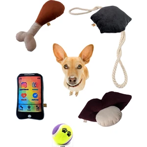 Utd Pet 5'li Köpek Oyuncak Seti ( Yastık Oyuncaklı)