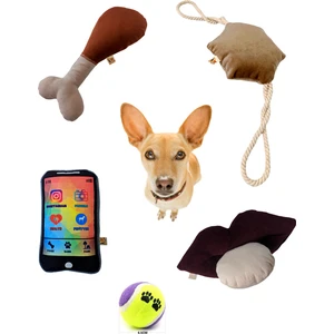 Utd Pet 5'li Köpek Oyuncak Seti ( Yastık Oyuncaklı)