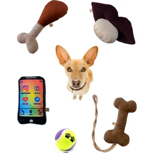 Utd Pet 5'li Köpek Oyuncak Seti ( Kemik Oyuncaklı)