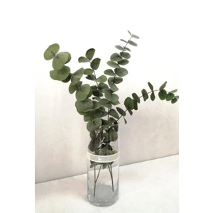 Trend Bahçe Şoklanmış Büyük Yeşil Okaliptus Demeti