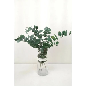 Trend Bahçe Şoklanmış Büyük Mavi Okaliptus Demeti