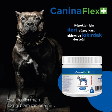 Canina Flex Collagen Glukozamin 10 Adet 400 gr Köpek Gelişim Ürünü.kemik Kas Kıkırdak