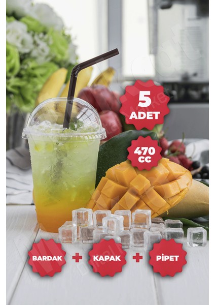 Plastik Milkshake Bardağı + Kapak + Pipet 16 Oz (470 Cc) - 5 Adet