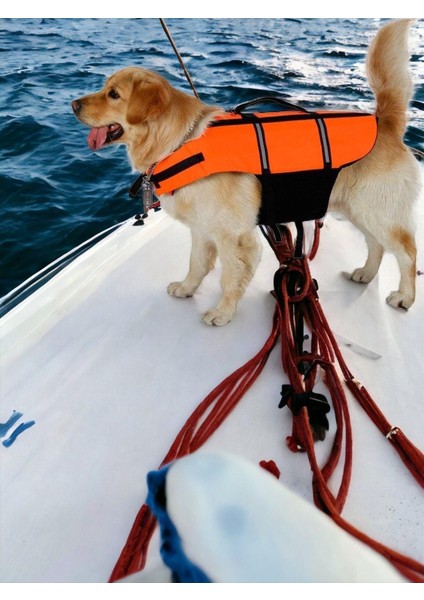 Köpek Can Yeleği, Köpekler Için Reflektörlü Yüzme Yardımcısı