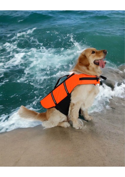 Köpek Can Yeleği, Köpekler Için Reflektörlü Yüzme Yardımcısı fiyatları