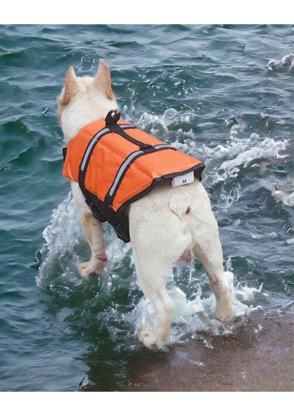 Köpek Can Yeleği, Köpekler Için Reflektörlü Yüzme Yardımcısı modelleri