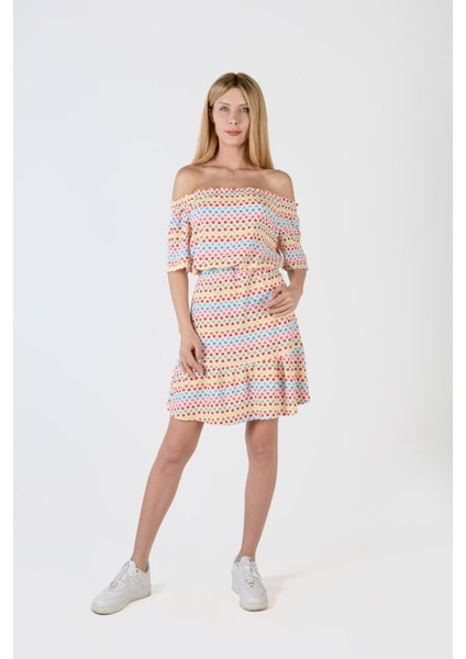 Ayrobin Burumcuk Desenli Elbise fiyatları