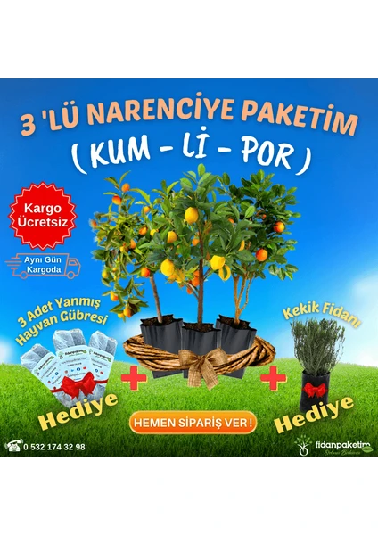 Fidan Paketim 3'lü Narenciye Paketim ( Kum - Li - Por )