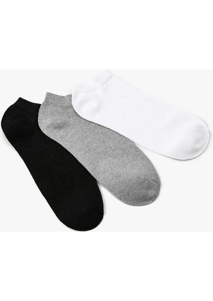 Basic 3'lü Patik Çorap Seti Çok Renkli