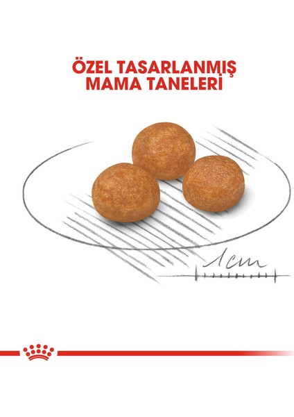 Royal Canın Xsmall Adult - 3 kg modelleri