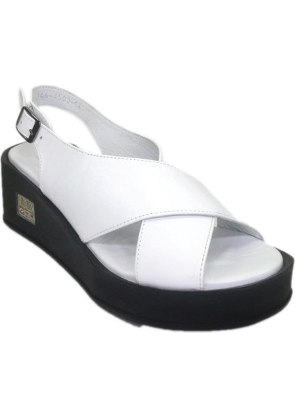 Kadın Deri Sandalet 146-4502