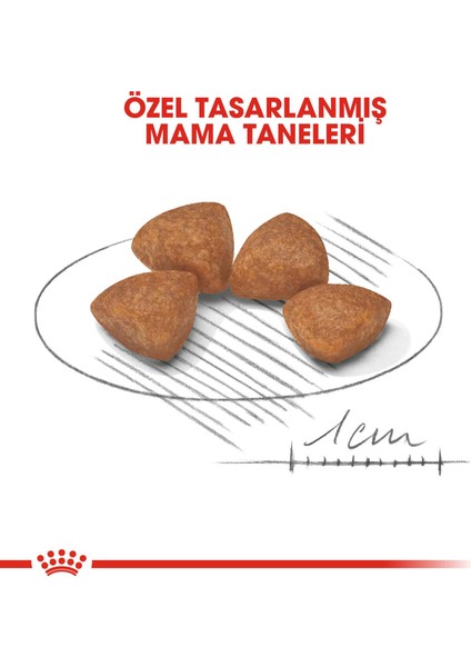 Royal Canın Xsmall Puppy - 3 kg fırsatları