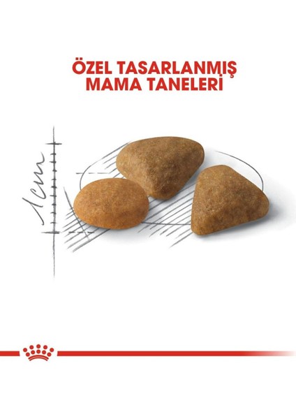 Exigent Hassas Seçici Kediler Için Kedi Maması 2kg