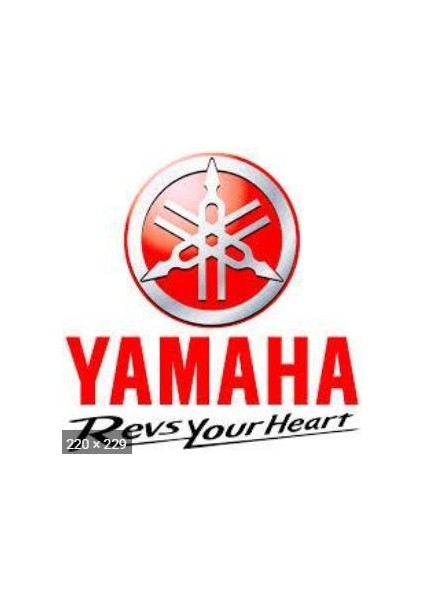 Aerox Jigle Düğmesi