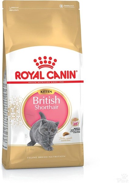 Kitten British Shorthair Yavru Kedi Maması 2kg