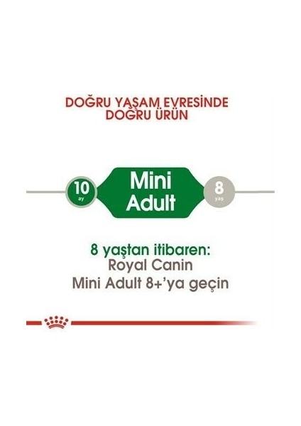 Mini Adult Yetişkin Köpek Maması 2kg modelleri