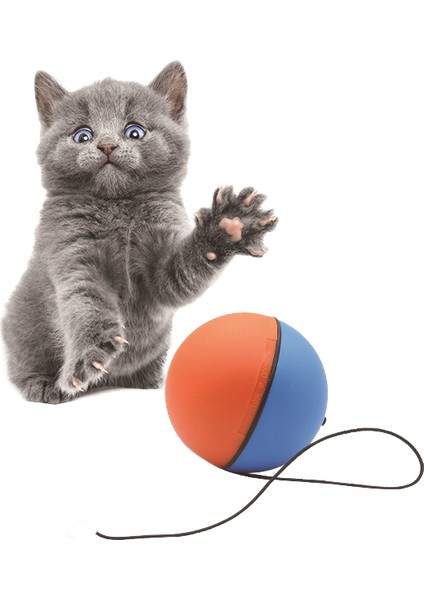 Otomatik Kedi Oyuncak Topla Dalga Geçiyor (Yurt Dışından) fiyatları