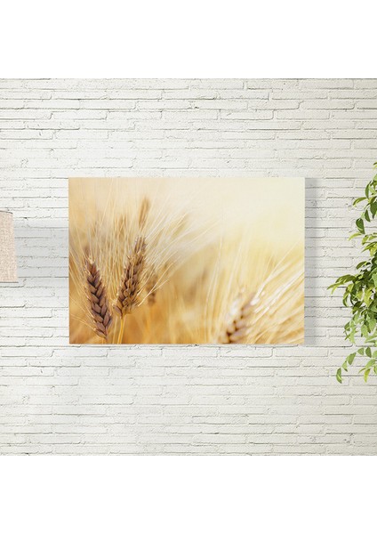 Buğday Tarlası Posteri 35X50 cm