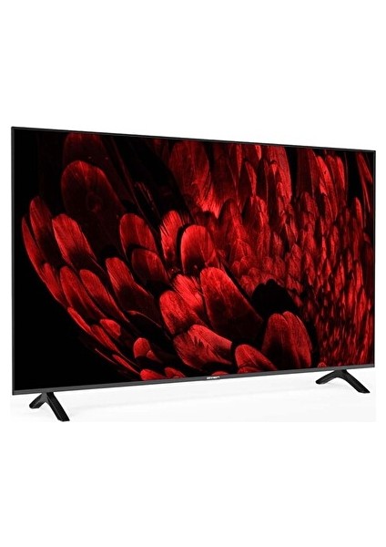 AX55UMN253 55" 139 Ekran Uydu Alıcılı 4K Ultra HD Smart LED TV