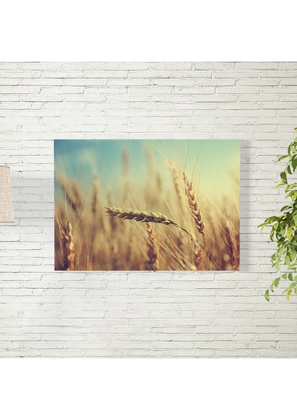 Buğday Tarlası Posteri 50X70 cm