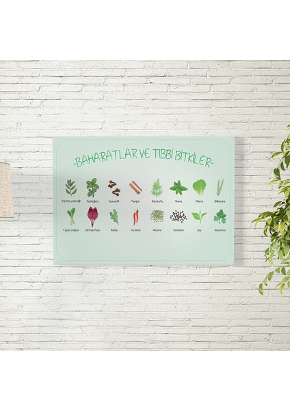 Baharatlar ve Tıbbı Bitkiler Posteri 35X50 cm