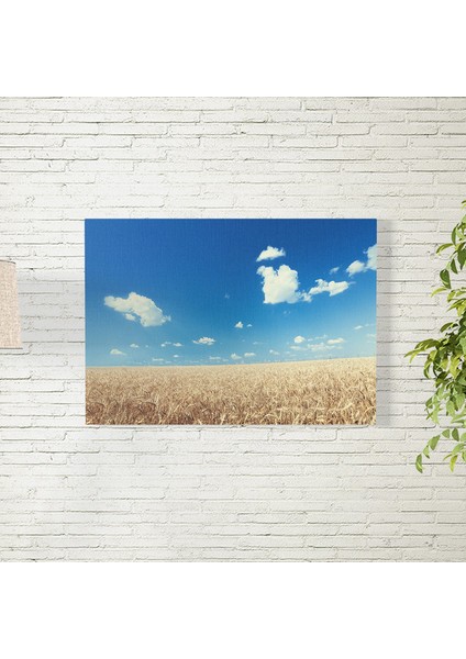 Buğday Tarlası ve Gökyüzü Posteri 35X50 cm