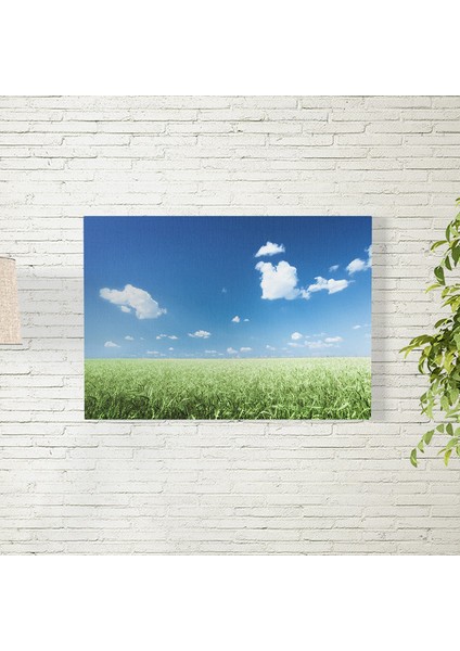 Yeşil Buğdaylar ve Gökyüzü Posteri 35X50 cm
