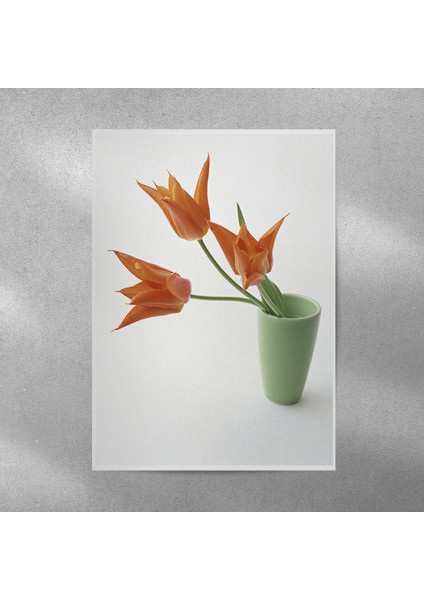Saksıda Lale Posteri 50X70 cm