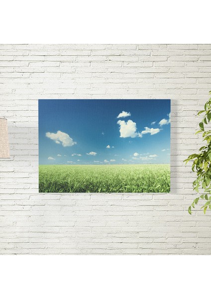 Yeşil Buğdaylar ve Gökyüzü Posteri 35X50 cm