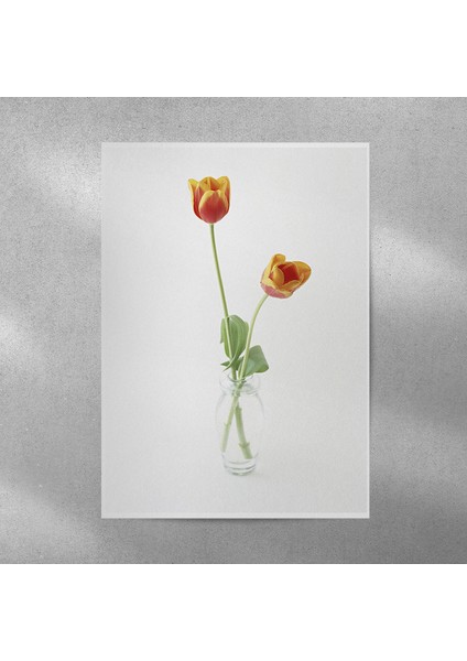 Lale Posteri 35X50 cm