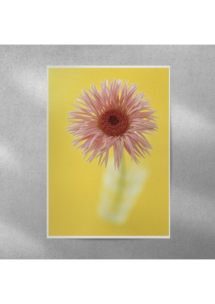 Pembe Alman Papatyası Posteri 35X50 cm