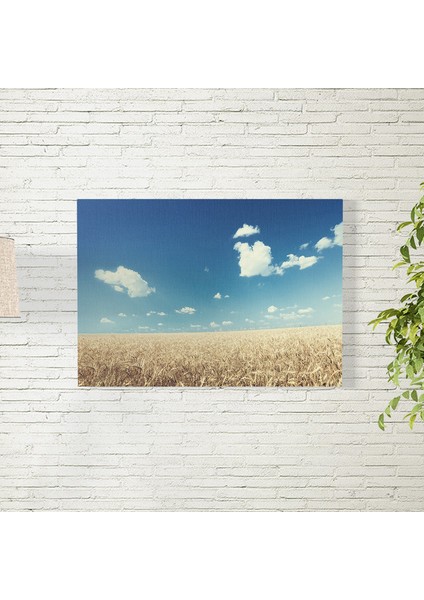 Buğday Tarlası ve Gökyüzü Posteri 35X50 cm